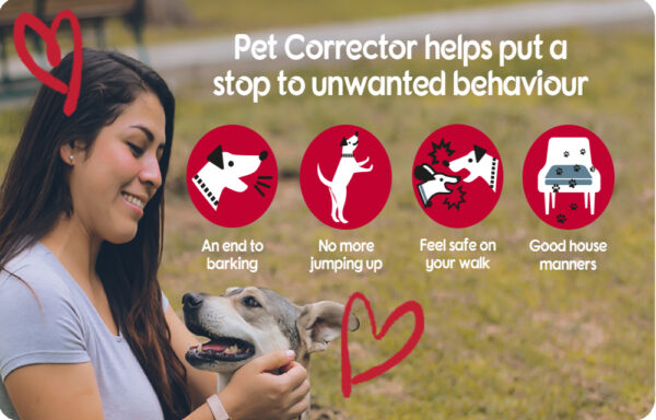 Pet Corrector - Image 7